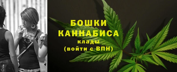 ALPHA PVP Бородино