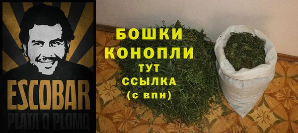 прущие грибы Семёнов
