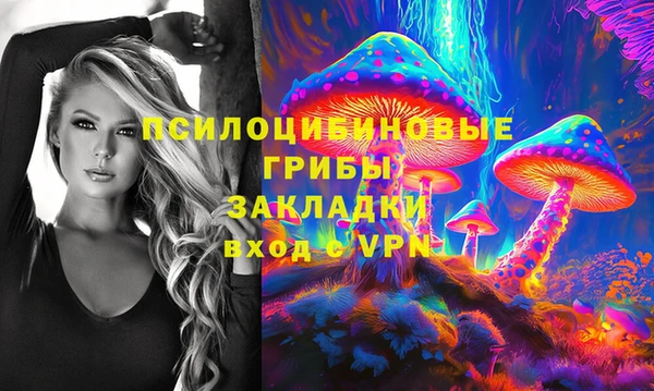 ALPHA PVP Бородино