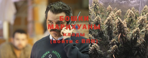 гидра Бугульма